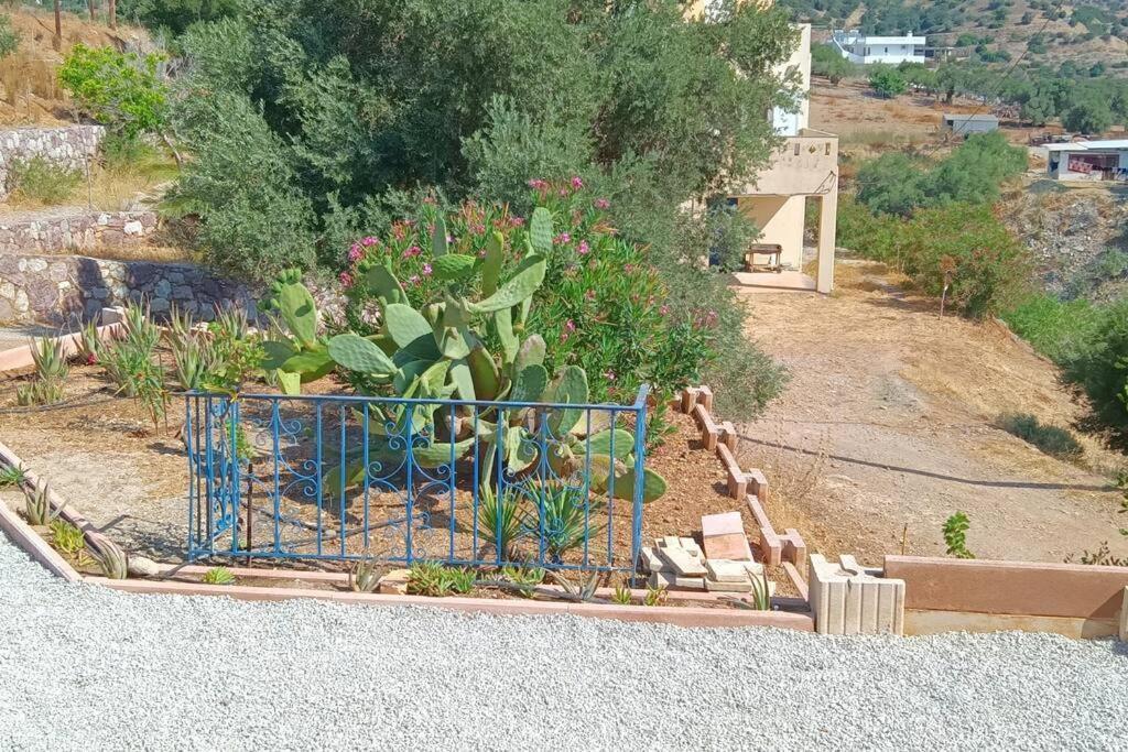 Willa Το Σπίτι Που Σε Ταξιδεύει Agia Galini Zewnętrze zdjęcie